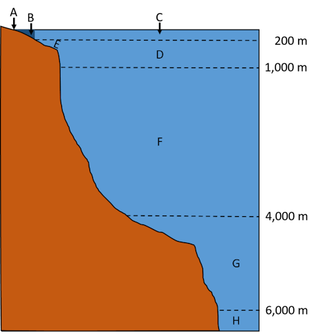 ocean zones diagram