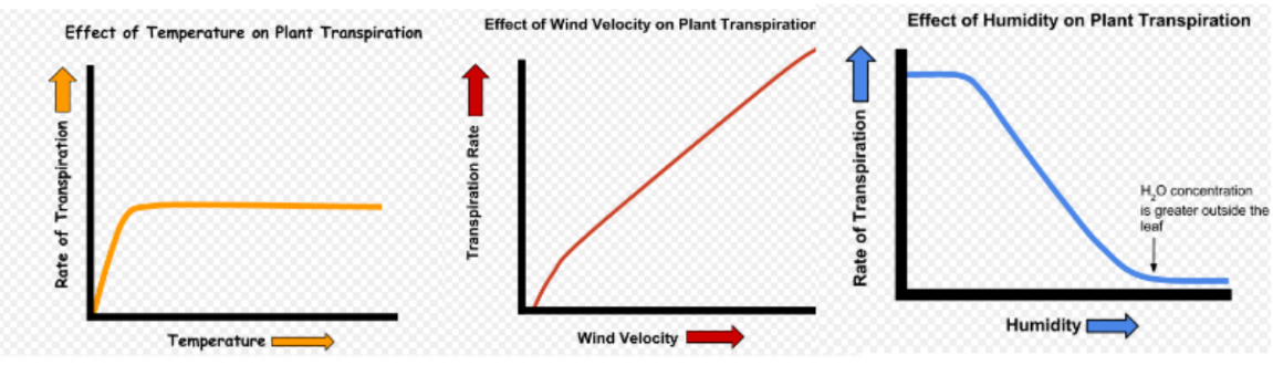 ap-biology-factors-affecting-transpiration-albert