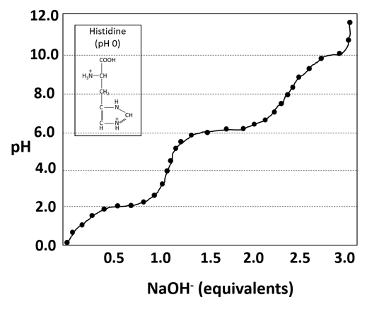 amino acid titration curves