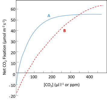 Photosynthesis and ${ CO }_{ 2 }$ Compensation Points | Biochemistry ...