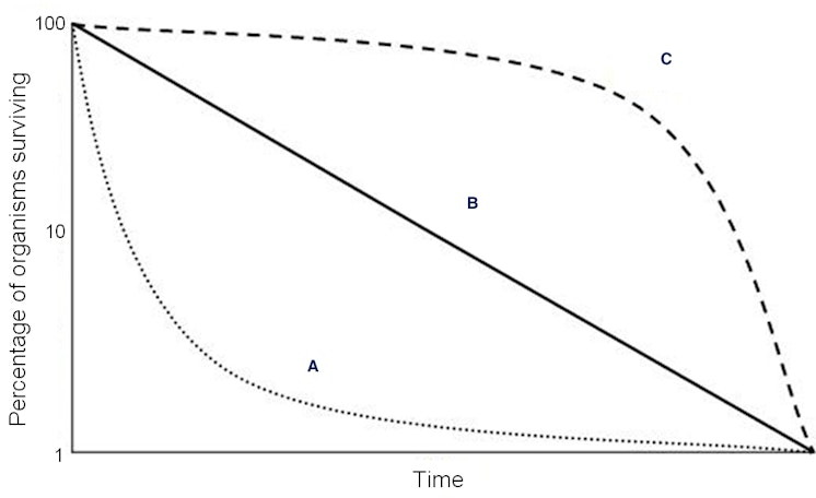 Survivorship Curves: Interpretation | AP® Environmental Science ...