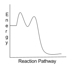 Catalyzed vs. Uncatalyzed Graph | AP® Chemistry | Practice | Albert