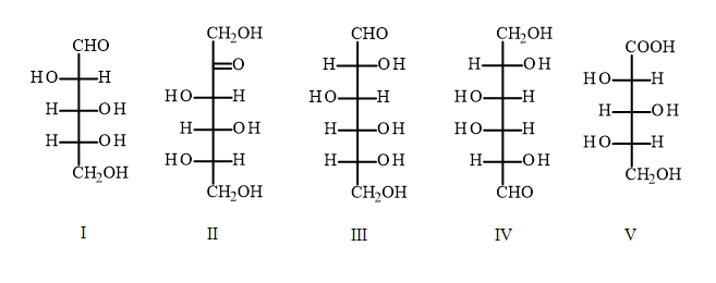 D vs. L Sugars 1 | Organic Chemistry 2 | Practice | Albert