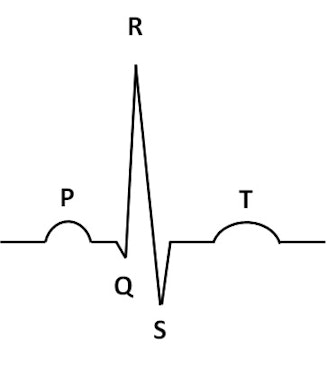 ECG and Cardiac Arrhythmia | 2 of 5 | MCAT® Biology | Practice | Albert