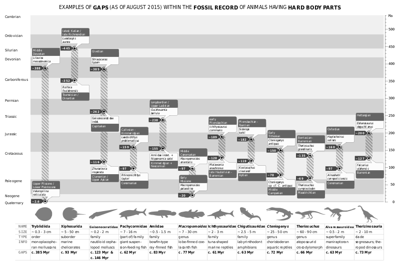 Appearance And Disappearance Of Fossils From Fossil Record | Biology ...