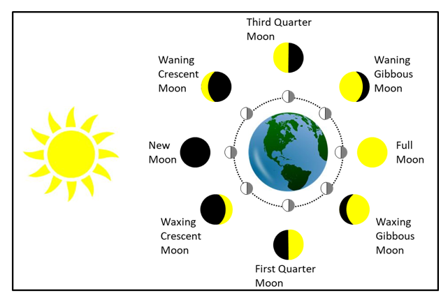 Phases Of The Moon Diagram For Kids