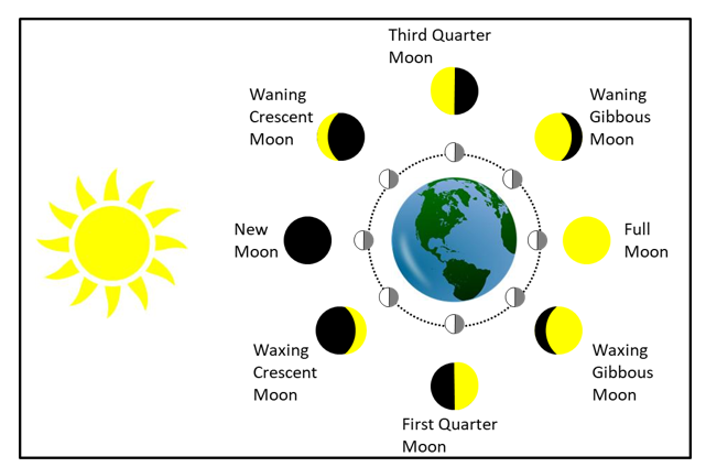 Describing the Phases of the Moon | 4 of 8 | Middle School Science ...