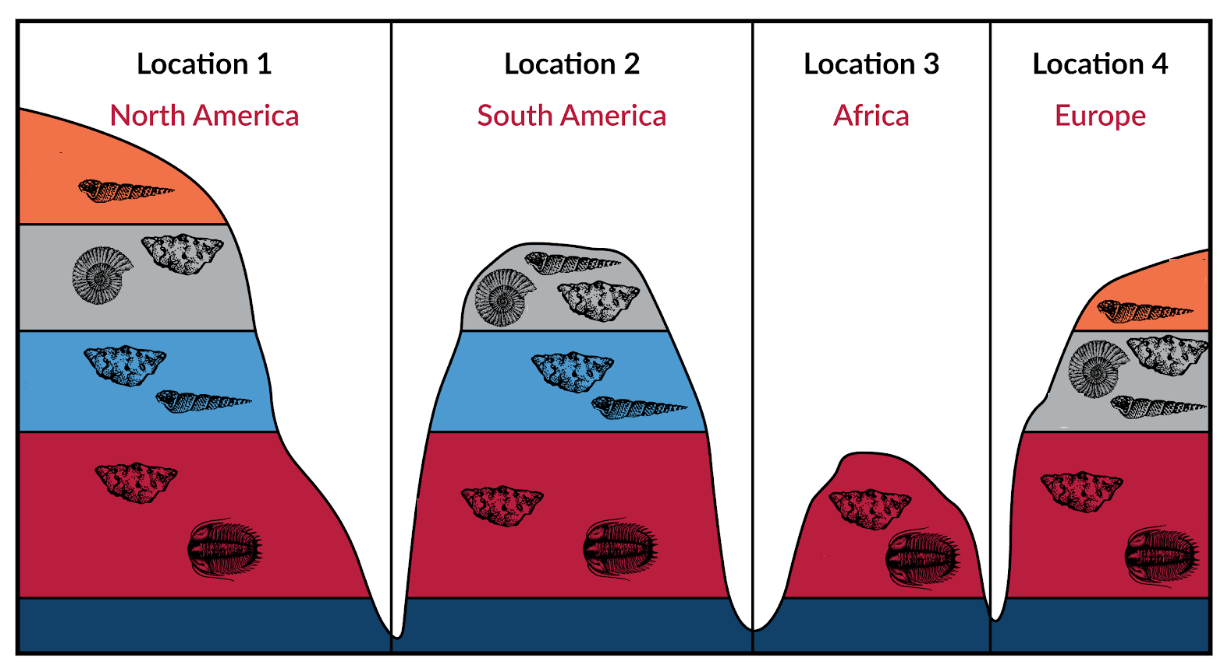 Analyzing How To Create A Geological Timeline Using Earth's Clues | 6 ...