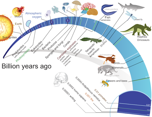 first mammals on earth timeline