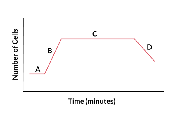 Bacteria Growth Curve | Biology | Practice | Albert