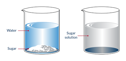 Water: The Universal Solvent | Biology | Practice | Albert